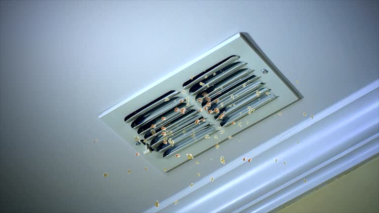 Best Affordable HVAC Duct Cleaning  in Nashville, GA